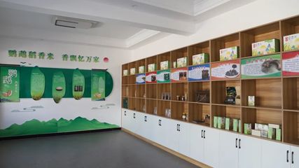 建好用活黨群服務(wù)站，殷店鎮(zhèn)鸚鵡村打造家門口的“教育咨詢港灣”