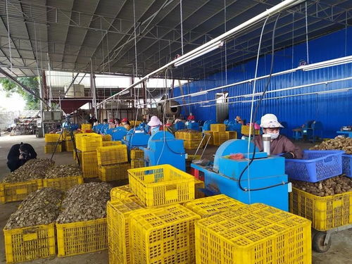 節(jié)氣不等人，春日勝黃金 把握旅游業(yè)務(wù)的季節(jié)脈搏